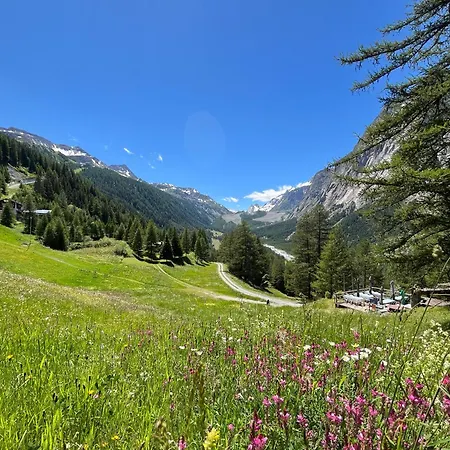 Chez Louis - Alpine Charm With Mont Blanc View & Access Courmayeur